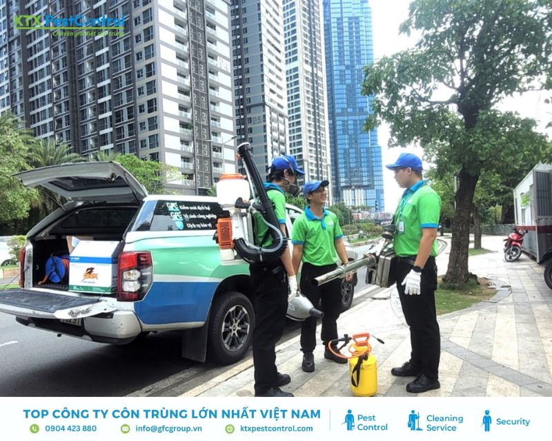 KTX cung cấp dịch vụ diệt mối quận 6 uy tín