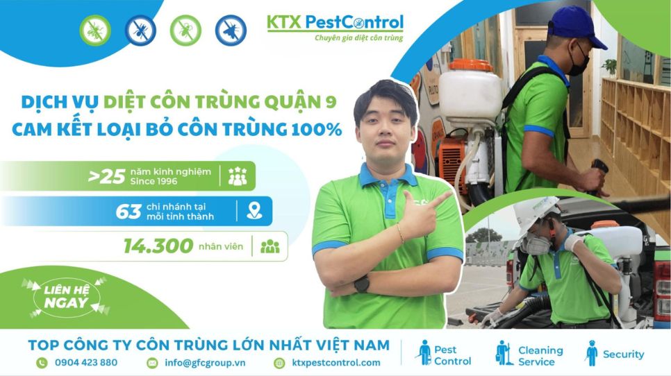 Dịch vụ diệt côn trùng Quận 9 cam kết loại bỏ côn trùng 100% 