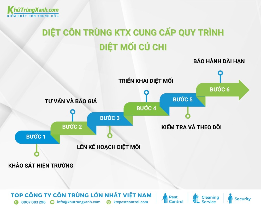 Diệt côn trùng KTX cung cấp quy trình diệt mối tại Củ Chi