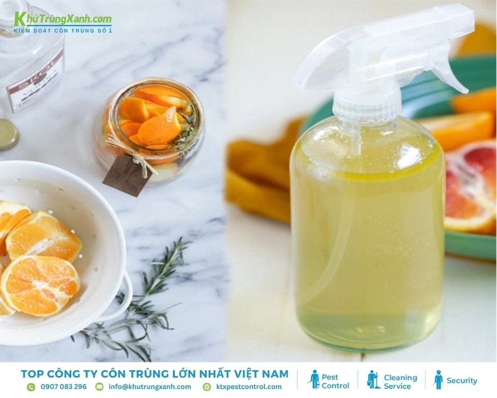 Nước chanh là cách diệt bọ chét an toàn, đơn giản