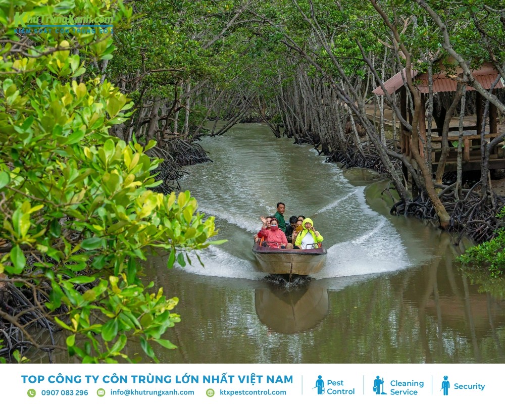 Cần Giờ có nhiều rừng ngập mặn và không khí ẩm ướt nên tạo điều kiện để côn trùng phát triển