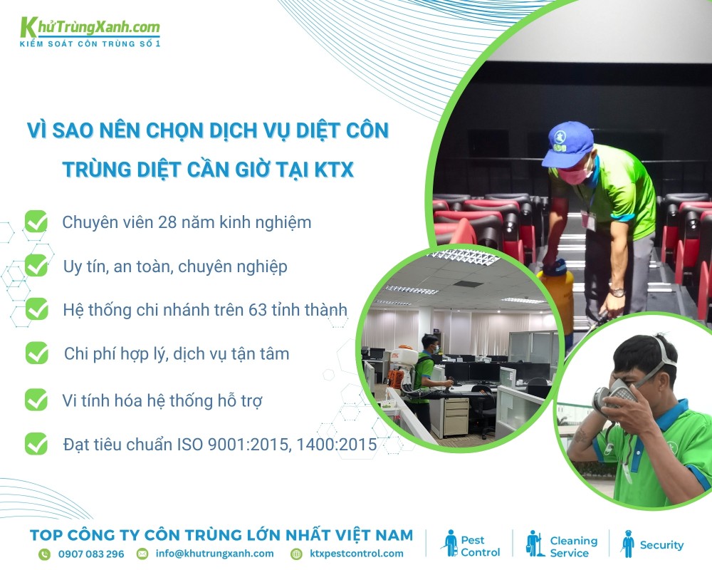 Diệt côn trùng KTX có dịch vụ diệt côn trùng chuyên nghiệp với hơn 28 năm kinh nghiệm