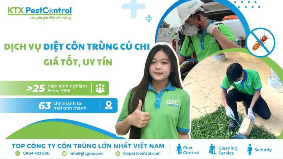 Dịch vụ diệt côn trùng Củ Chi giá tốt, uy tín