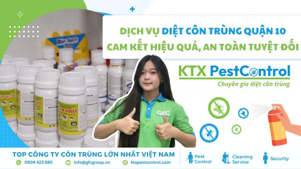 Dịch vụ diệt côn trùng Quận 10 cam kết hiệu quả, an toàn tuyệt đối 