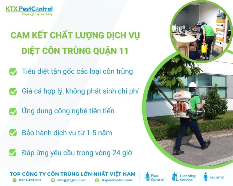 Diệt Côn Trùng KTX cam kết dịch vụ diệt côn trùng Quận 11 chuyên nghiệp