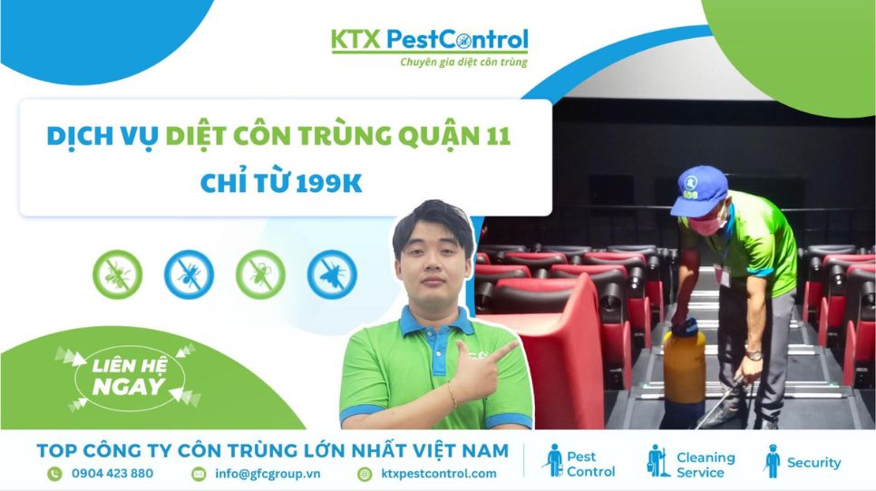 Dịch vụ diệt côn trùng Quận 11 chỉ từ 199K