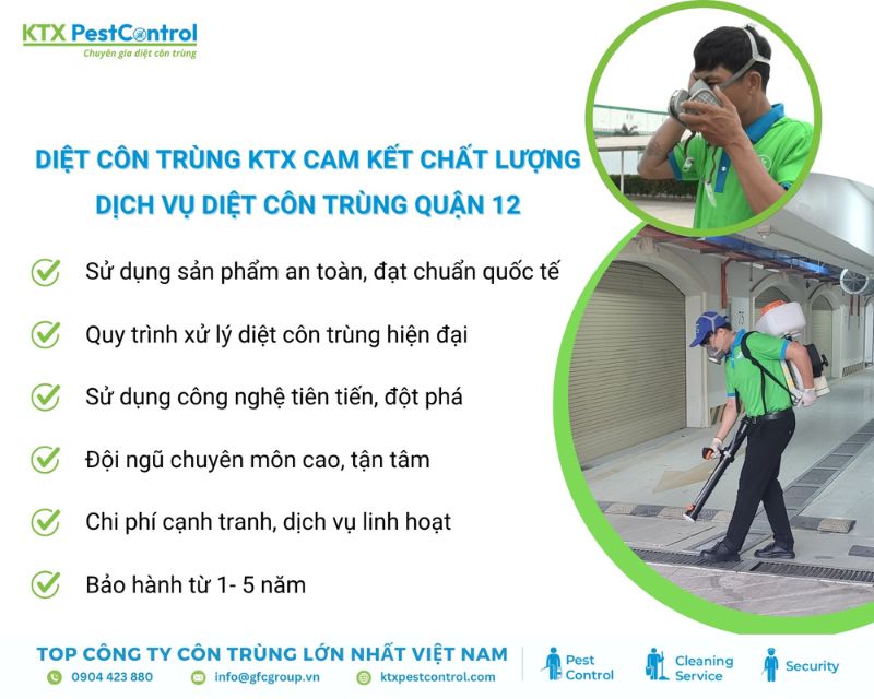 KTX cam kết kiểm soát côn trùng hiệu quả tại quận 12