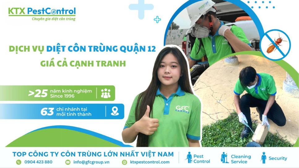 Bảng giá dịch vụ diệt côn trùng Quận 12 tại TPHCM rẻ nhất