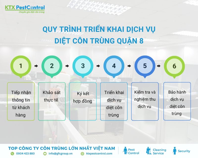 Quy trình diệt côn trùng tận gốc tại Quận 8
