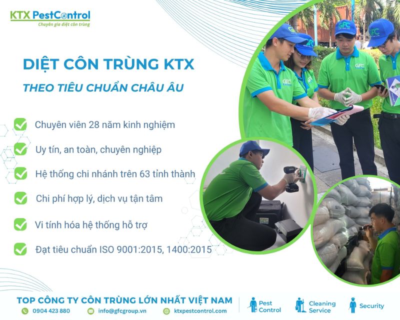 lý do nên chọn dịch vụ diệt côn trùng tại Quận 8