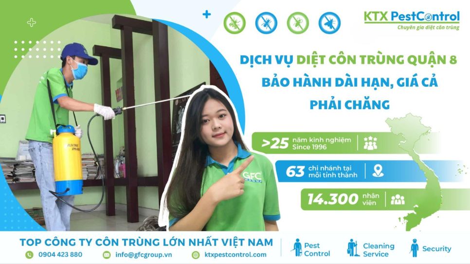 Dịch vụ diệt côn trùng Quận 8 – Bảo hành dài hạn, giá cả phải chăng 