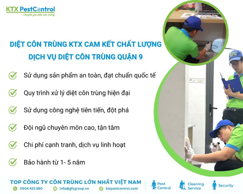 KTX cam kết đem lại chất lượng khi khách hàng sử dụng dịch vụ diệt côn trùng tại Quận 9
