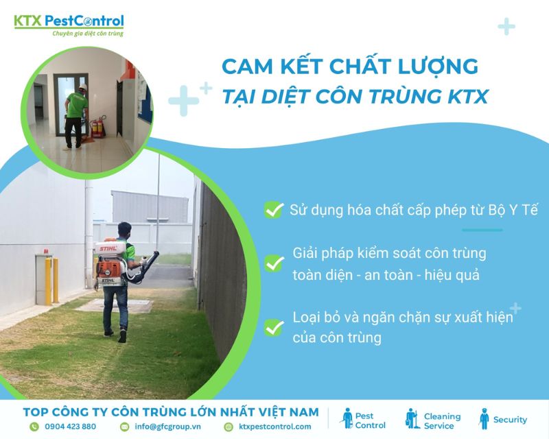 KTX cam kết chất lượng dịch vụ diệt côn trùng chuyên nghiệp tại quận Bình Tân