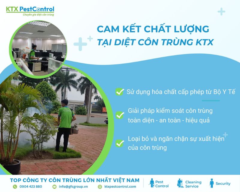 Diệt côn trùng KTX cam kết bảo hành dịch vụ diệt côn trùng lâu dài tại quận Gò Vấp