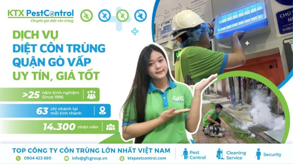Dịch vụ diệt côn trùng Quận Gò Vấp uy tín, giá tốt 