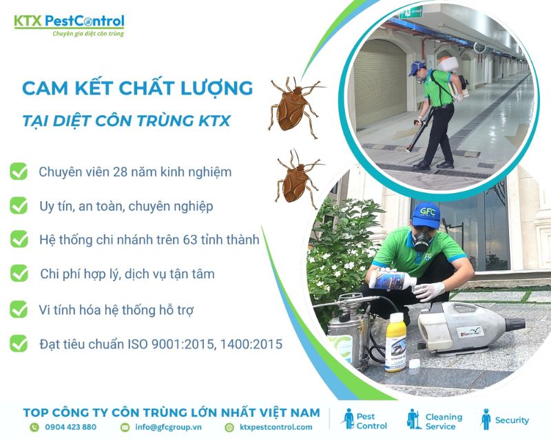 Đội ngũ chuyên viên diệt côn trùng quậ Phú Nhuận được đào tạo bài bản