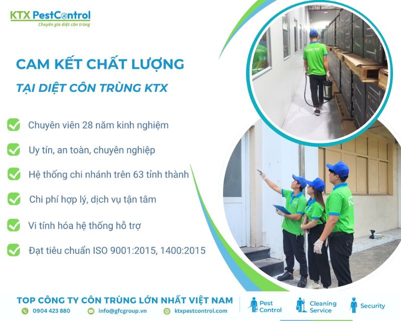 Diệt côn trùng KTX cam kết chất lượng uy tín tại khu vực Tân Bình