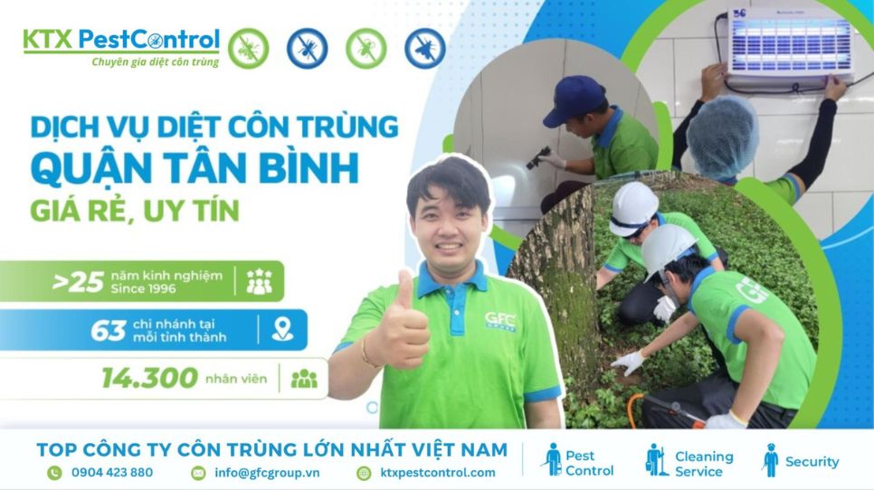 Dịch vụ diệt côn trùng Quận Tân Bình giá rẻ, uy tín