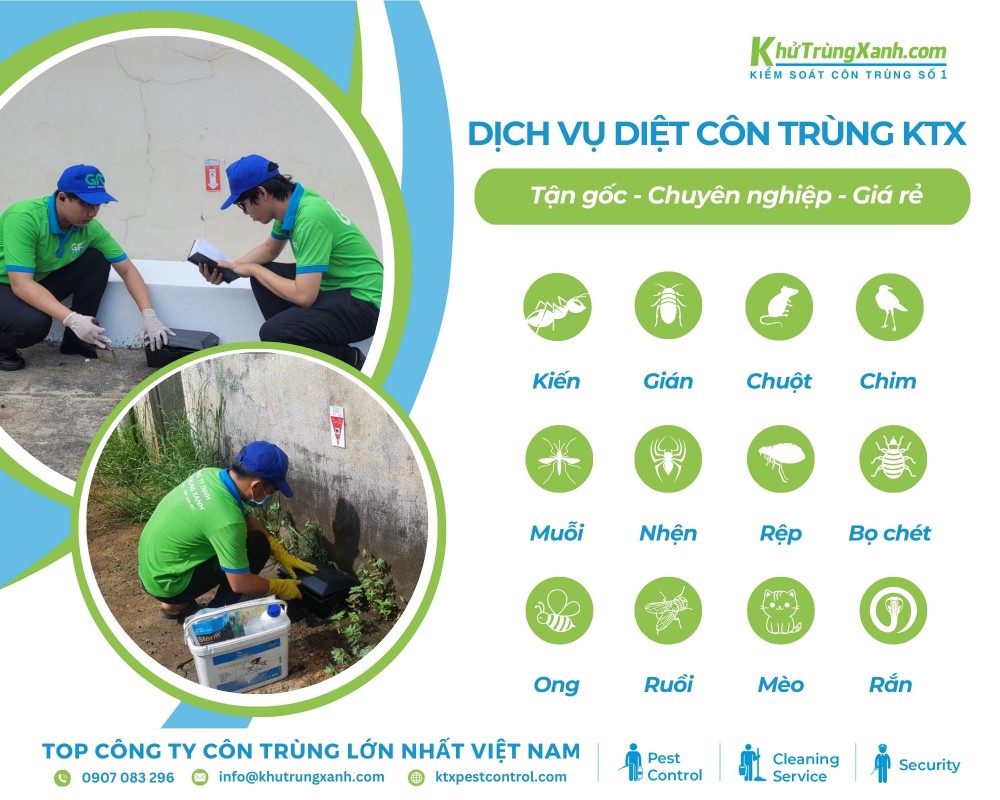 Những loại côn trùng Diệt côn trùng KTX nhận tại Nhà Bè