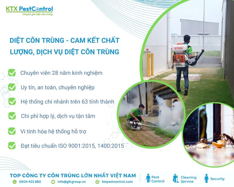 KTX có nhiều năm kinh nghiệm trong diệt mối tận gốc quận Tân Phú