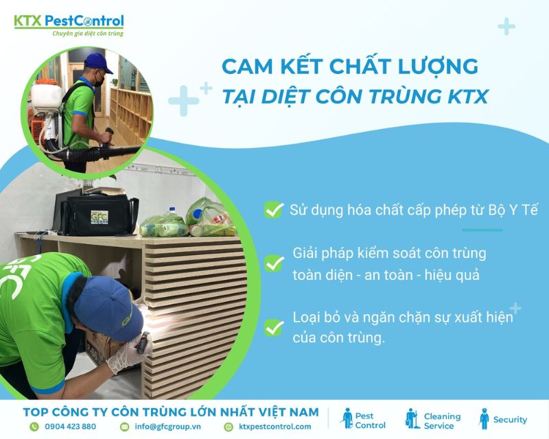 KTX cam kết mang đến chất lượng dịch vụ diệt côn trùng tận gốc tại quận Thủ Đức