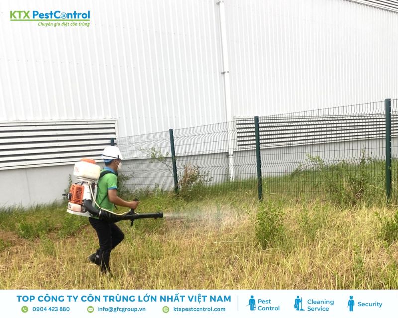 KTX tiến hành diệt côn trùng xung quanh khu vực nhà xưởng tại Thủ Đức