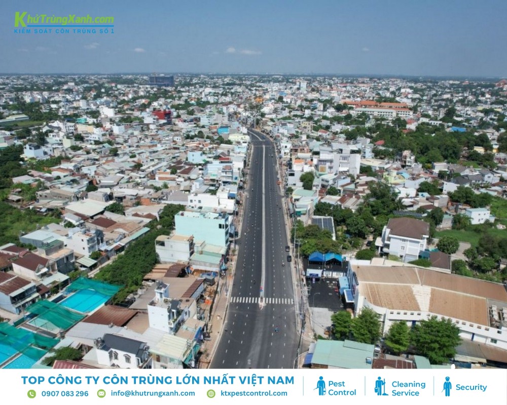 Nhu cầu diệt mối tại huyện Hóc Môn ngày càng tăng cao