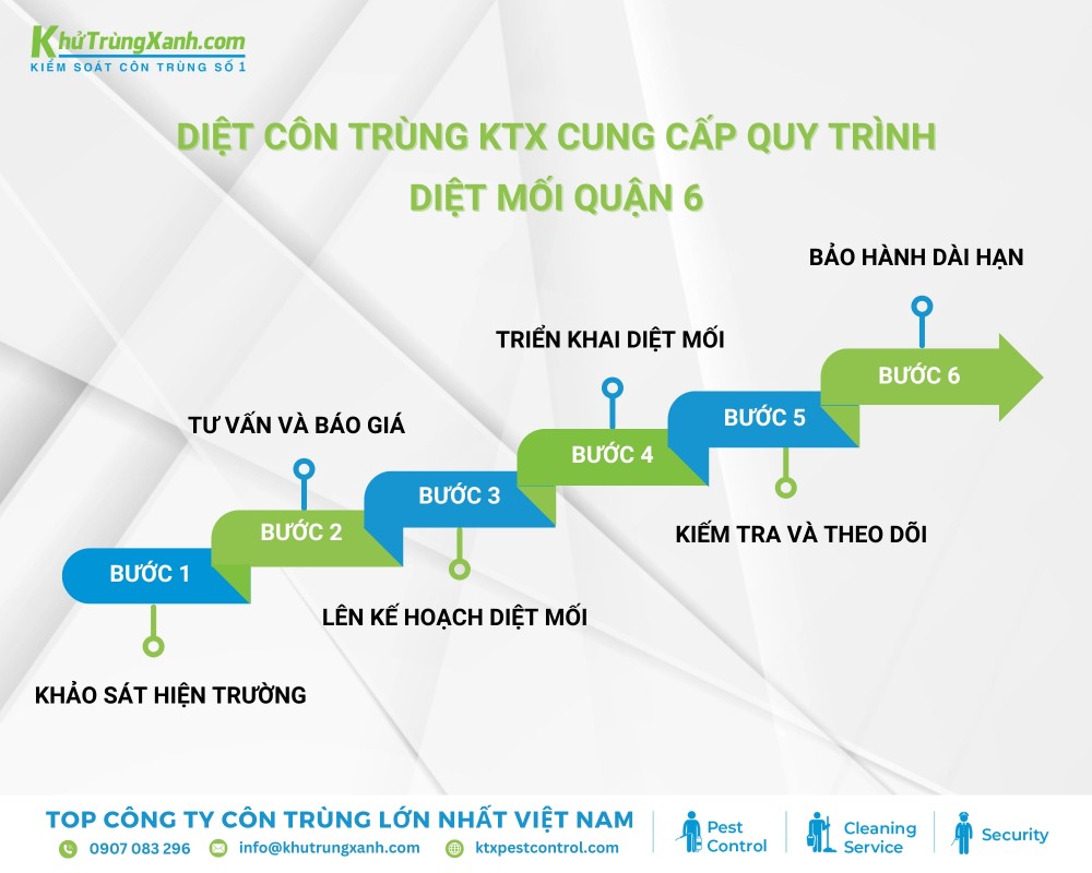 Diệt côn trùng KTX cung cấp quy trình diệt mối tại Quận 6