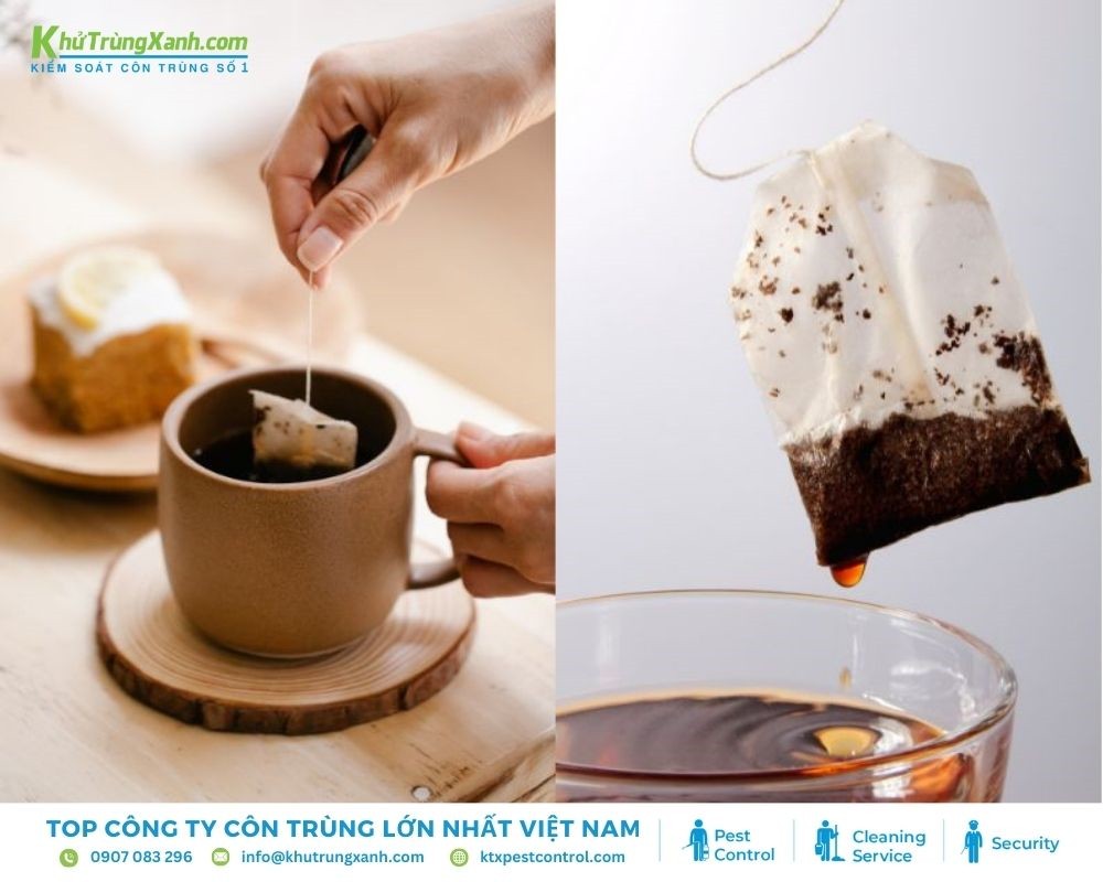 Túi trà có công dụng điều trị khi bị bọ chét cắn