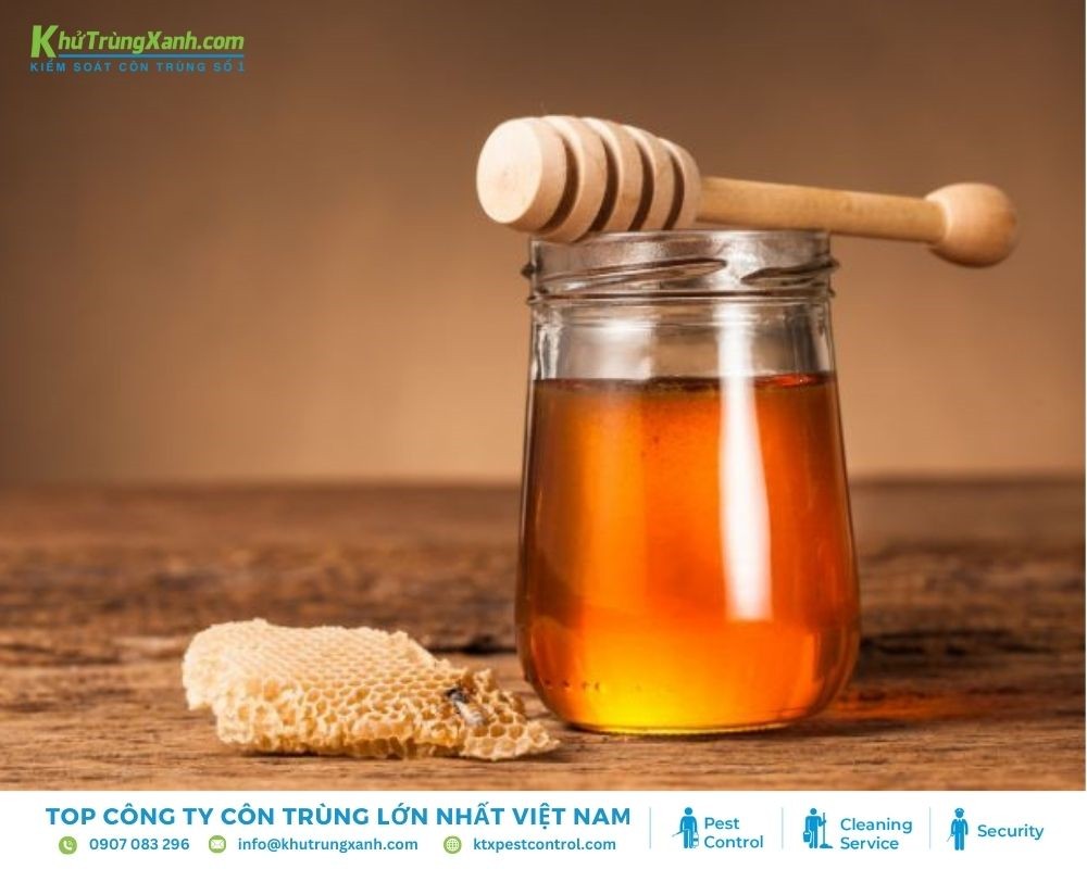 Mật ong có công dụng làm dịu vết thương khi bị bọ chét cắn