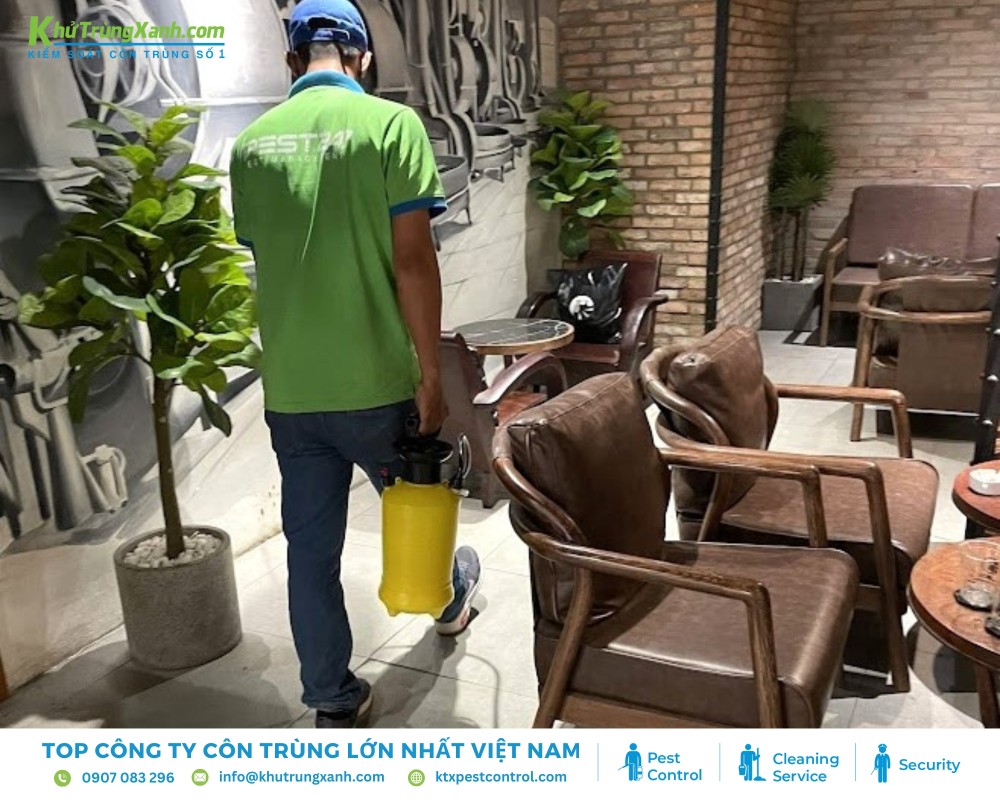 Diệt côn trùng KTX cung cấp dịch vụ diệt gián chuyên nghiệp, uy tín
