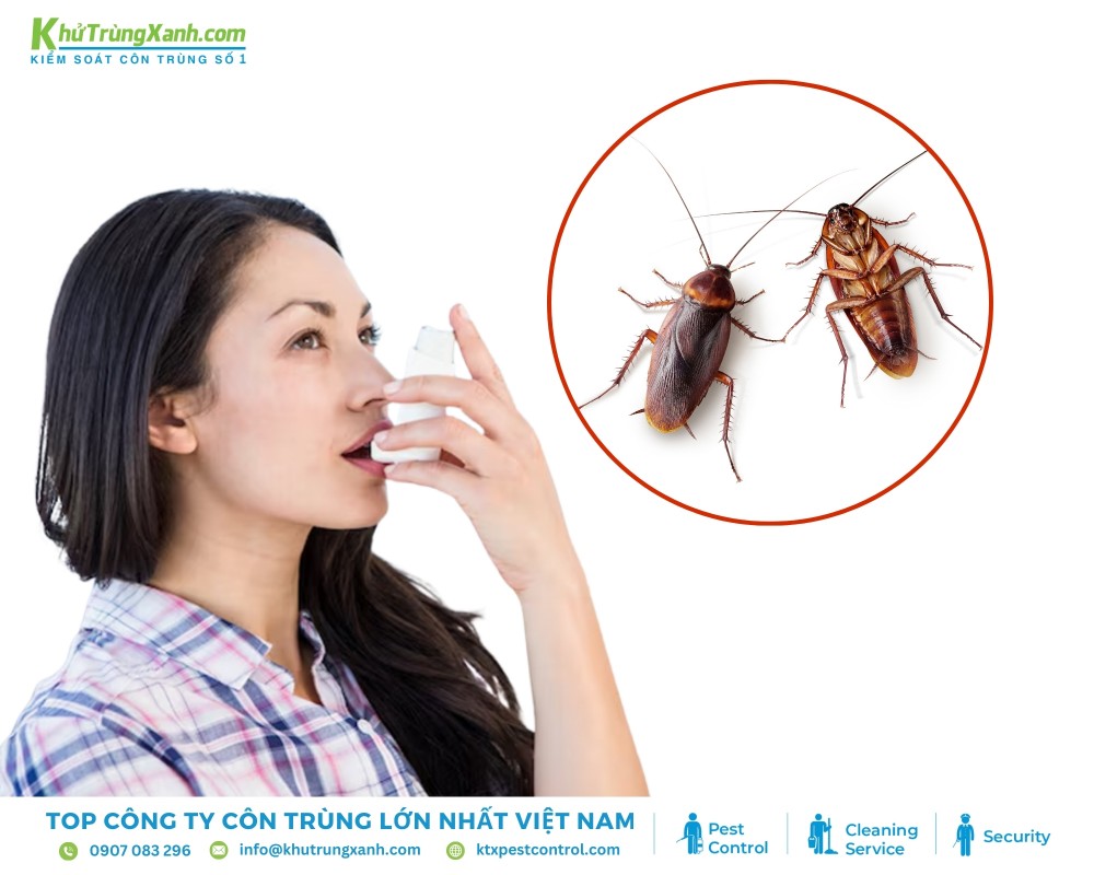 Gián là nguyên nhân dẫn đến các vấn đề về sức khỏe như dị ứng và kích phát bệnh hen suyễn