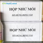 hộp nhử mối