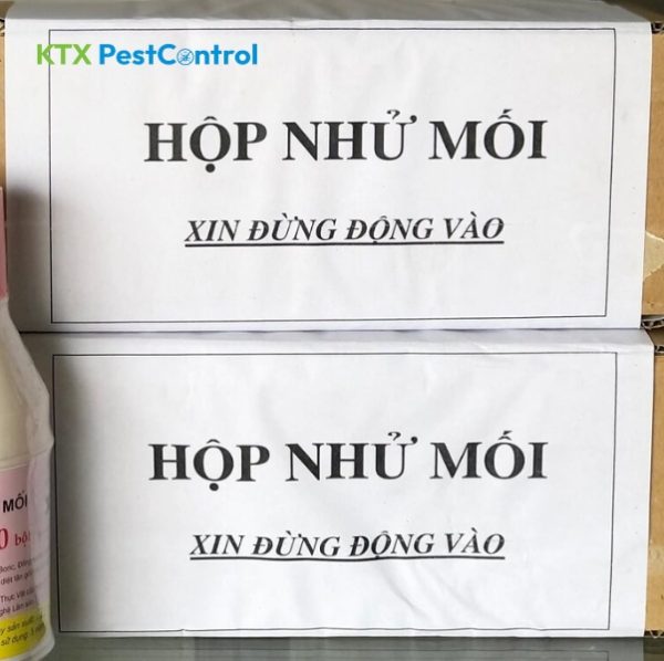 hộp nhử mối