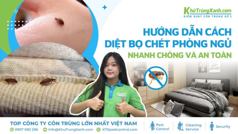 Hướng dẫn cách diệt bọ chét phòng ngủ nhanh chóng và an toàn