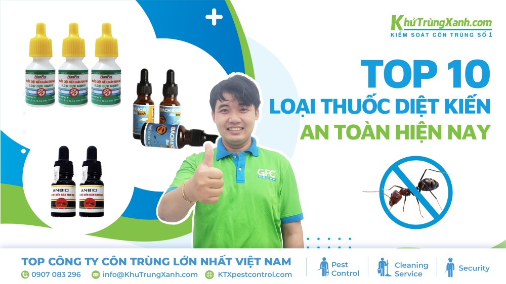 Top 10 loại thuốc diệt kiến an toàn hiện nay