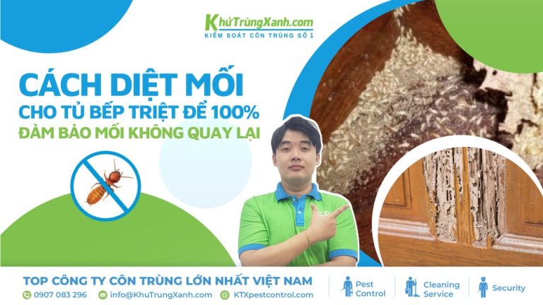 Cách diệt mối cho tủ bếp triệt để 100%, đảm bảo mối không quay lại