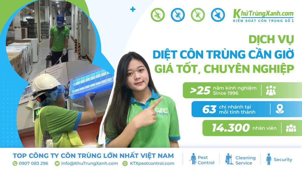 Dịch vụ diệt côn trùng Cần Giờ giá tốt, chuyên nghiệp