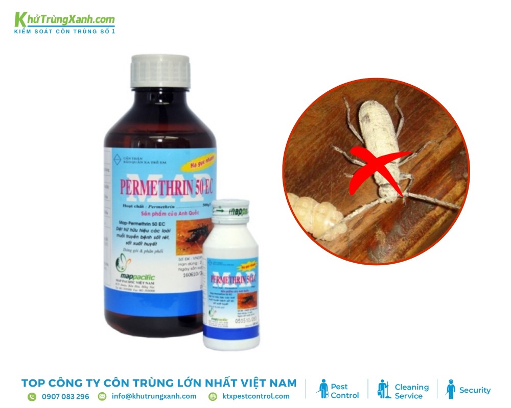 Dùng Permethrin diệt mọt ngừa tái phát hiệu quả.