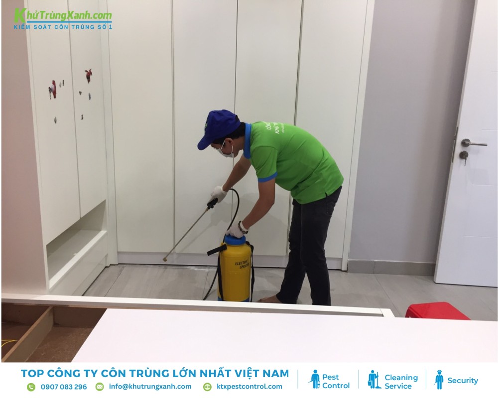 Dịch vụ diệt muỗi chuyên nghiệp với các biện pháp xử lý chuyên sâu