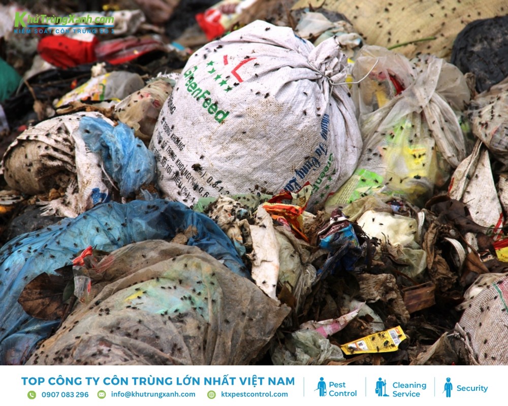 Cơ thể ruồi có chứa hàng trăm loại vi khuẩn gây bệnh