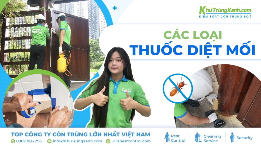 Tổng hợp các loại thuốc diệt mối an toàn và hiệu quả