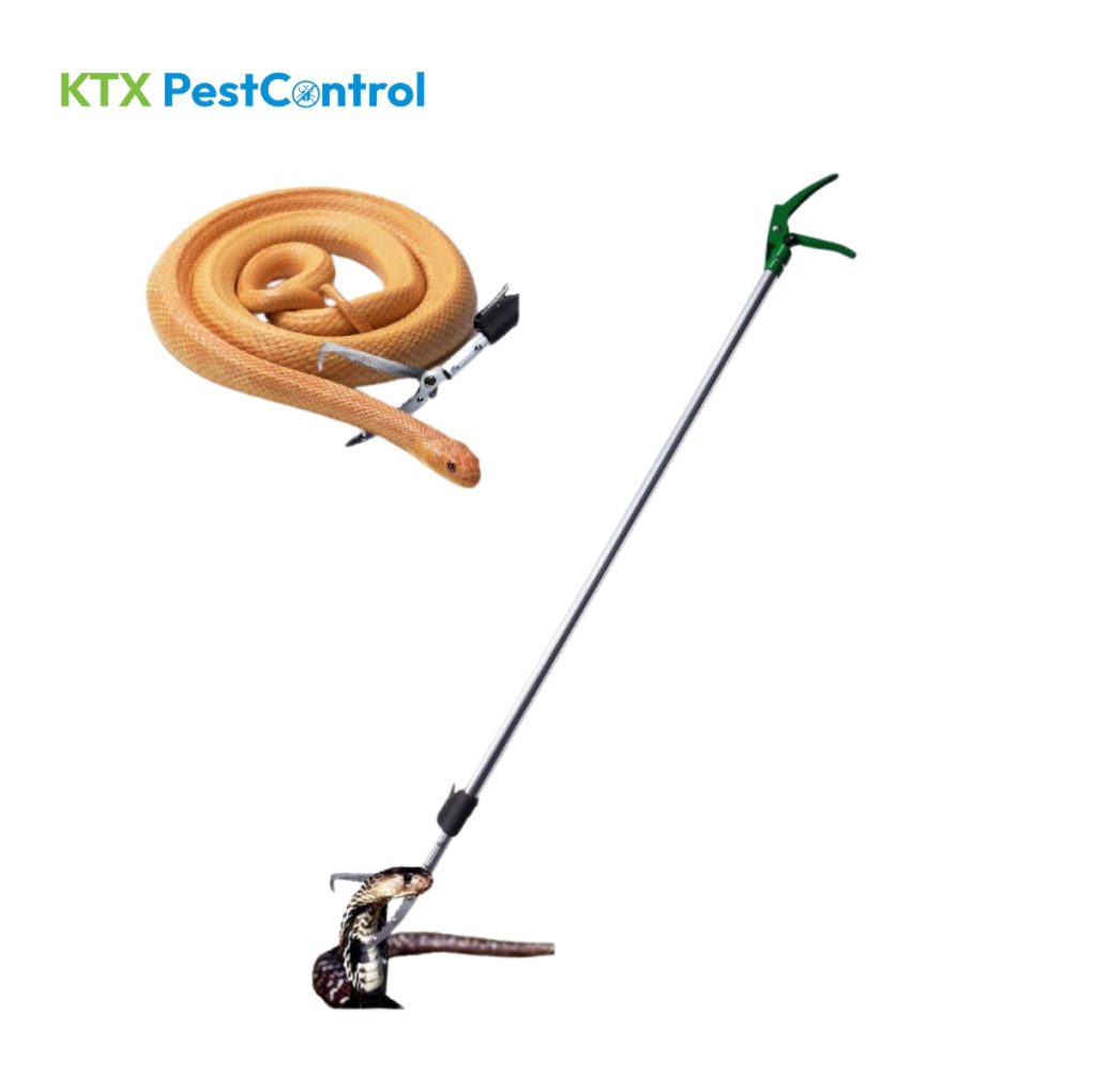 Gậy bắt rắn