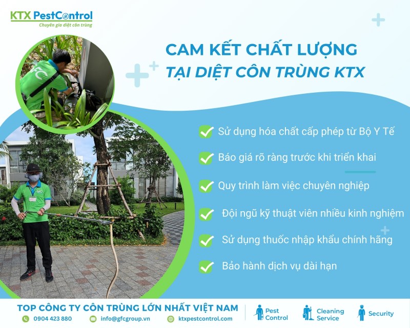 Tại sao chọn chúng tôi
