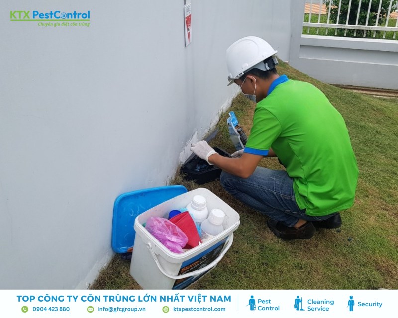 Kỹ thuật viên bắt đầu dịch vụ diệt chuột ngay sau khi hoàn tất ký kết hợp đồng