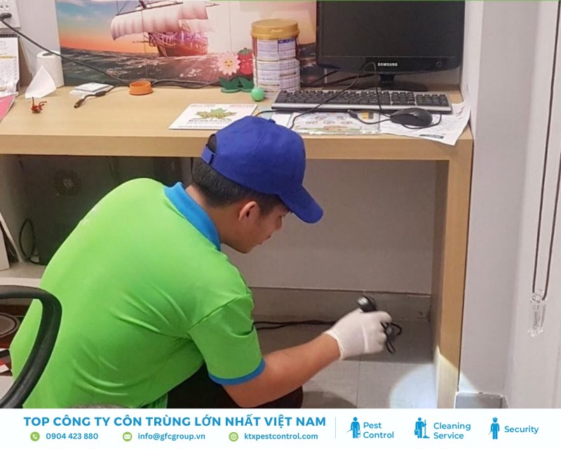 quy trình dịch vụ diệt kiến