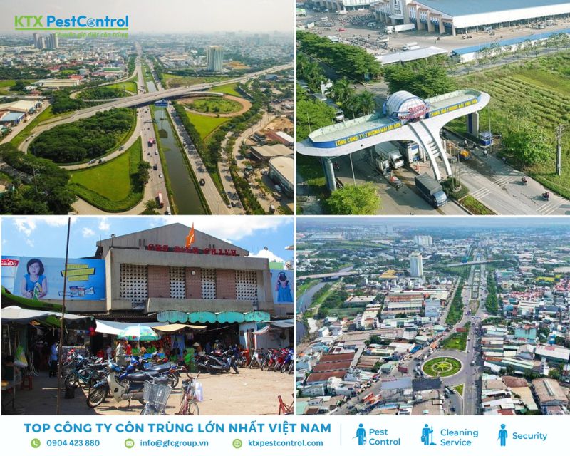 KTX triển khai dịch vụ diệt mối toàn địa bàn huyện Bình Chánh