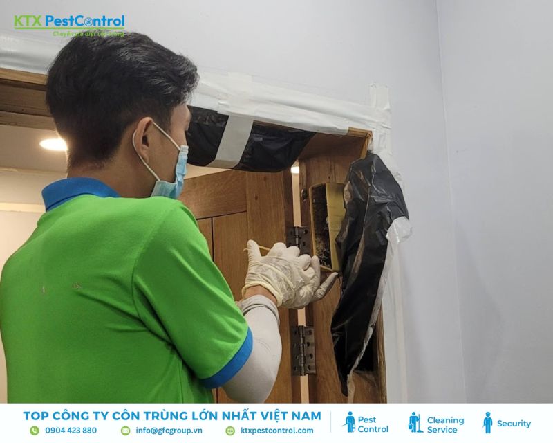 kỹ thuật viên dịch vụ diệt mối Bình Chánh kiểm tra tổ mối