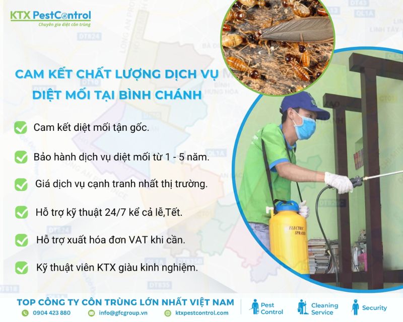 Dịch vụ diệt mối Bình Chánh cung cấp giải pháp triệt để