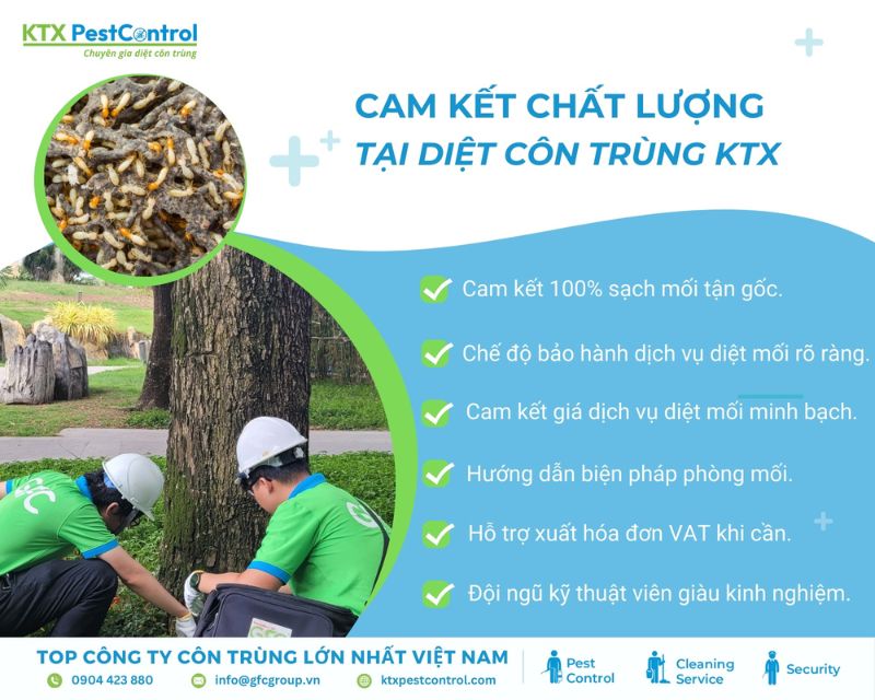 KTX cam kết dịch vụ diệt mối Bình Dương hiệu quả